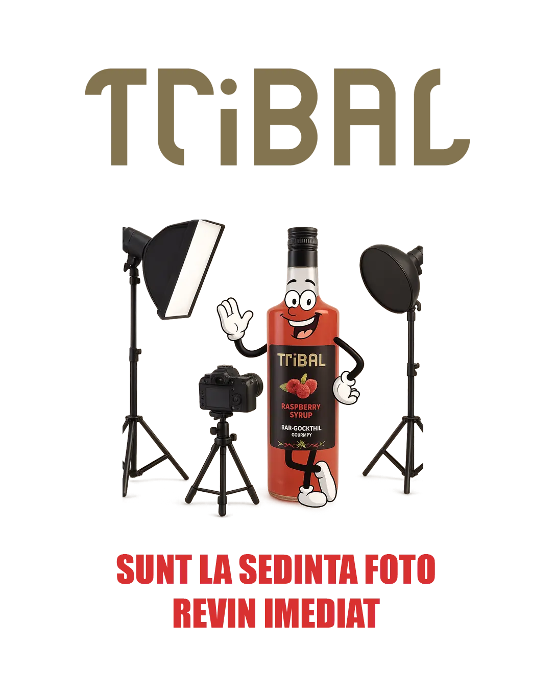 TRIBAL SIROP TRIPLU SEC FARA ZAHAR